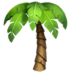 Palm Tree